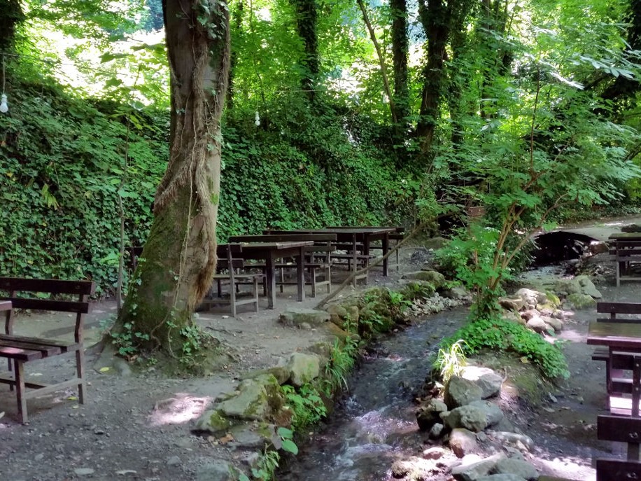 جولة في سبانجا وماسوكيي وحديقة الحيوانات  - _2