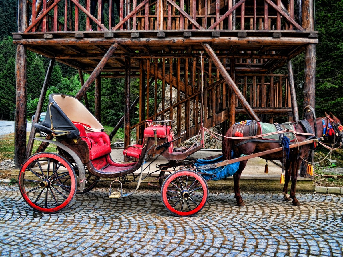 جولة بحيرة أوزنجول في مدينة طرابزون  - _3