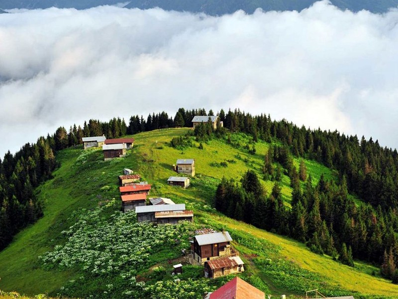 Ayder Plateau Tour in Trabzon City  - _1