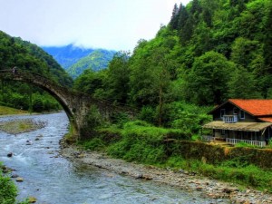 Ayder Plateau Tour in Trabzon City 