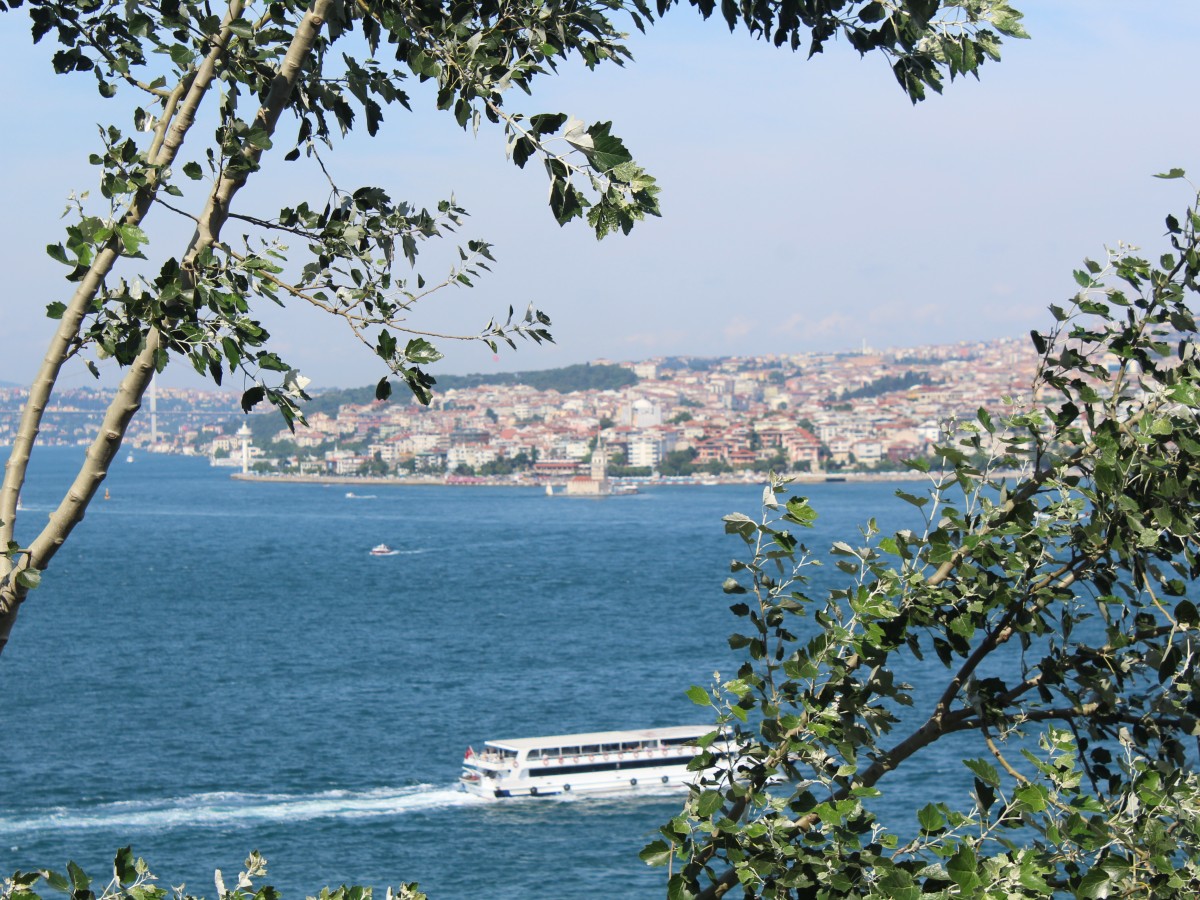 Bosphorus Tour 1/2 Day  - _2