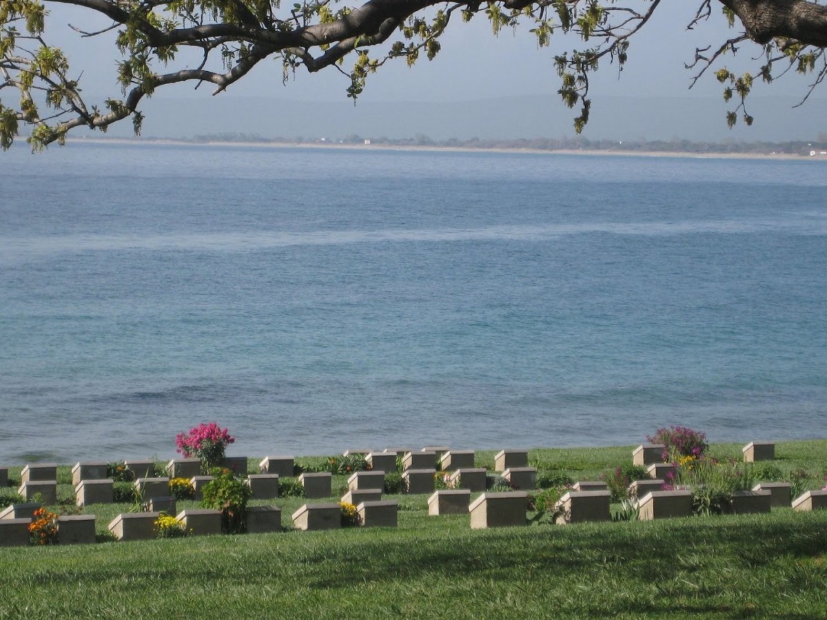 Daily Gallipoli  Tour  - _2