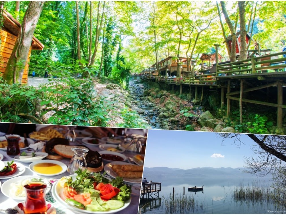 Sapanca & Masukiye & Zoo Tour   - _1