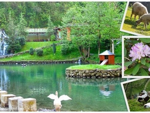 Sapanca & Masukiye & Zoo Tour   - _3