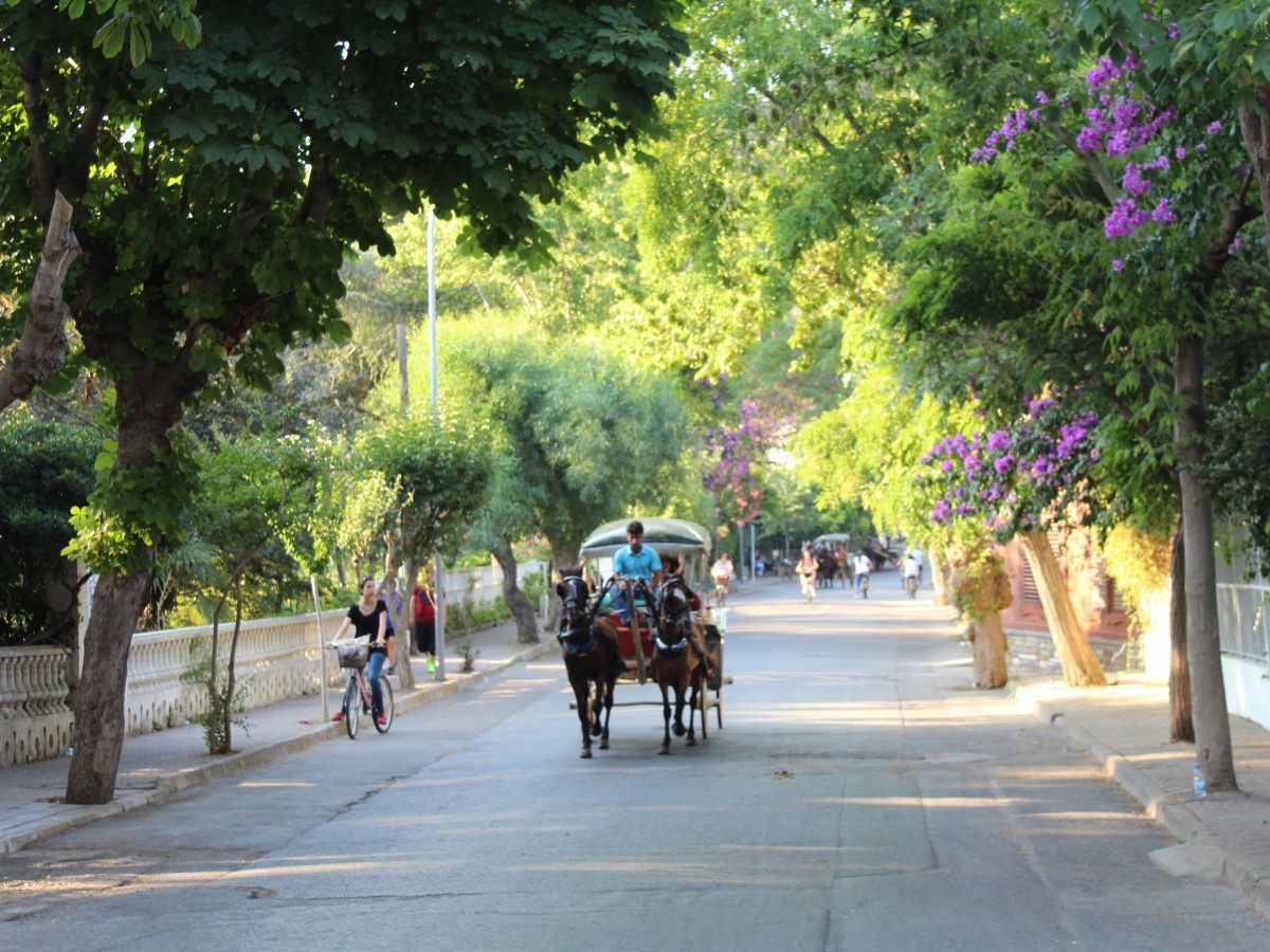 Тур на  острова Принцев - поездка на целый день  - _2